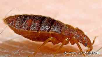 Ungebetene Bettgenossen