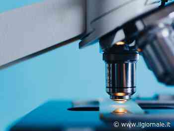 Covid, cosa c'è da sapere su Eris (senza allarmismi)