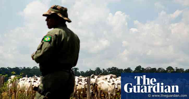 Brazil launches biggest operation against illegal cattle farms in indigenous Amazon
