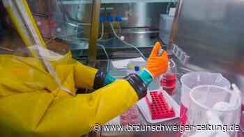 Gefahr wird größer: Vogelgrippe-Virus passt sich Menschen an