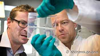 Balzan Prizes recognize achievements in study of human evolution, black holes with $840,000 awards