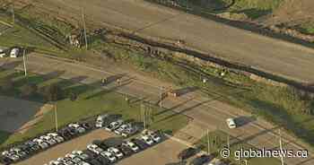 Motorcyclist killed in collision on Sparrow Drive in Leduc