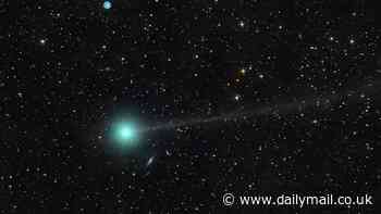 Newly discovered comet known as Nishimura will zip past the Earth TOMORROW before vanishing in a one in 400 year event... here is how YOU can see it