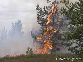 Could Wildfire Smoke Raise Rural Suicide Rates?