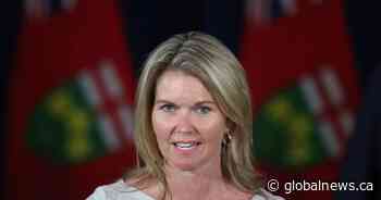 Ontario holding student housing consultations, minister says