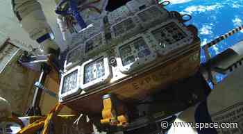 Kombucha on Mars? It could be key for astronauts' survival off Earth