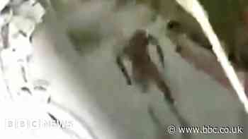 Morocco earthquake: CCTV footage shows man narrowly avoiding building collapse