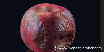 The Sad Real Reason Apple Bought Tiny BIS, The Classical Label