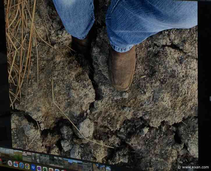 Turfgrass company wants more wells, neighbors concerned with water supply