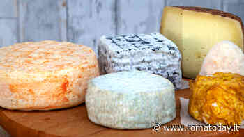 L’alchimista del latte che inventa formaggi in un laboratorio alle porte di Roma