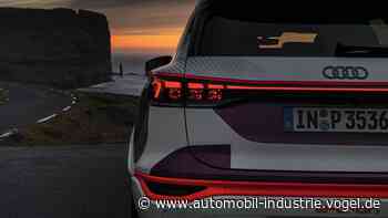 OLED-Display mit 360 Segmenten als Heckleuchte