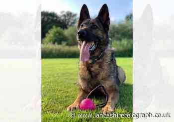 PS Kato died on Monday after a short battle with cancer