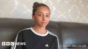 American bully XL dogs: Girl hurt in attack wants breed banned