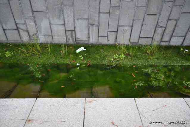 Stad zal beekje op marktplein terug fatsoeneren: “Het zou een pronkstuk moeten zijn, maar ziet er nu niet uit”