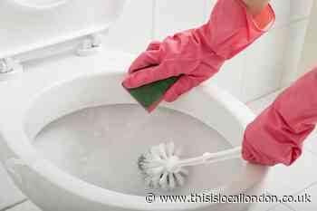 Best way to clean your toilet and keep it fresh from Mrs Hinch fans