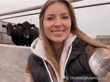 Upcycling canola may increase cattle health: U of S research