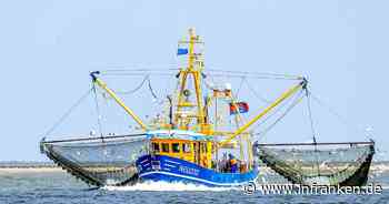 Verband: Fischereibranche steckt weiter in der Krise