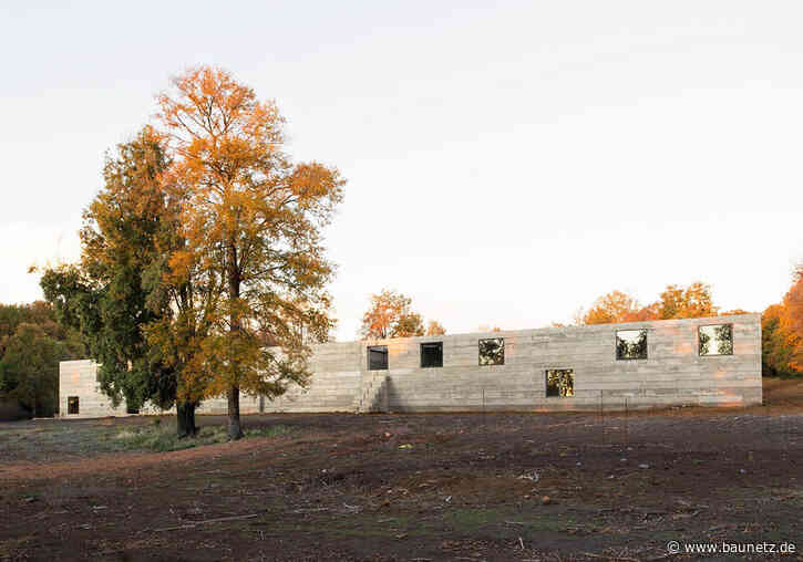 Horizontale Monumentalität
 - Experimentalbau in Yungay von Pezo von Ellrichshausen