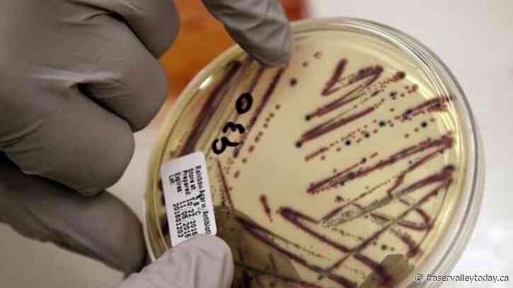 Critical health violations found in kitchen used by daycares after E. coli outbreak