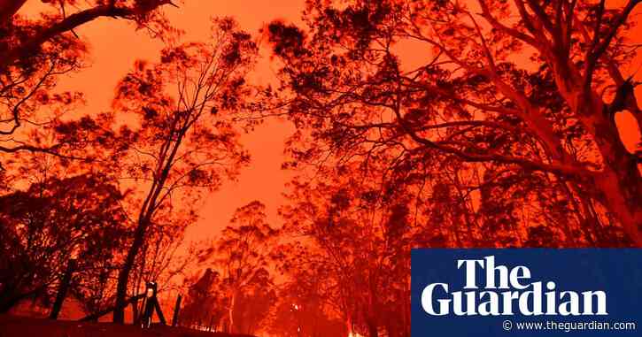 Albanese government not doing enough on climate crisis, majority of Labor voters tell poll