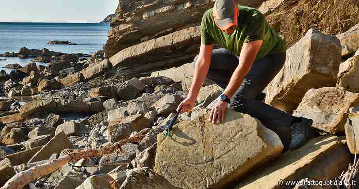 Scoperte le tracce dei più antichi pesci abissali al mondo sull’Appennino Settentrionale (tra Piacenza, Modena e Livorno)