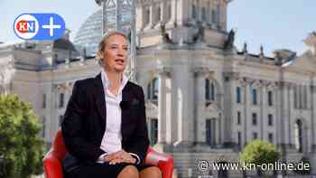 Kritik an Alice Weidel: AfD-Chefin identifiziert sich mit finsteren Kräften