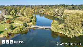 Peterborough's Ferry Meadows begins 'dogs on leads' trial
