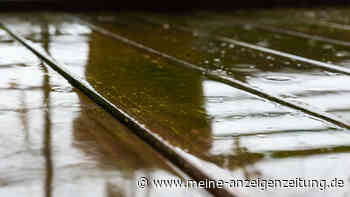 Grünbelag auf der Terrasse – in welchen Fällen warmes Wasser und ein wenig Natron helfen