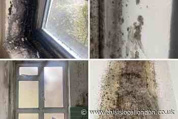 Dartmouth Park family with newborn baby 'plagued by mould'