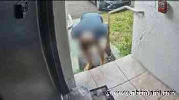 DoorDash deliveryman caught on camera spitting on food he left outside Miami home