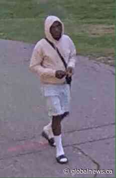 Suspect sought after girl, 14, sexually assaulted at Brampton park, police say