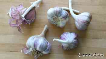 Recipes with Julie Van Rosendaal: A garlic lover's paradise
