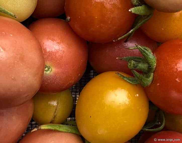 Farm to school: APS recognized for helping local farmers bring produce to schools