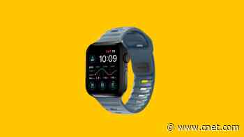 Best Apple Watch Bands, According to the CNET Staff Who Wear Them     - CNET