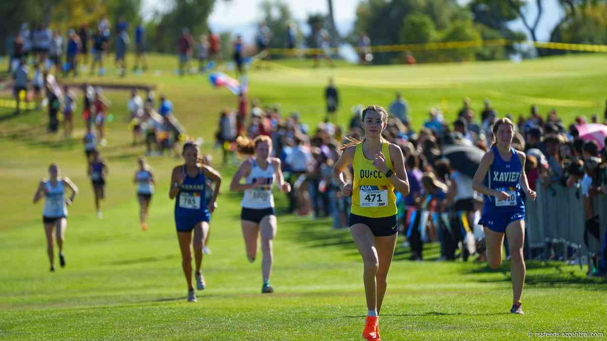 Breaking down 2023 Arizona high school cross-country season: Division I