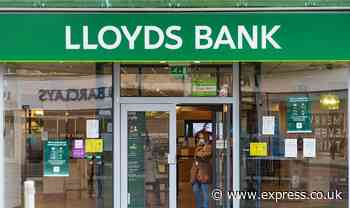 Lloyds Bank offers exclusive 'top paying' account for customers with 6.25% interest