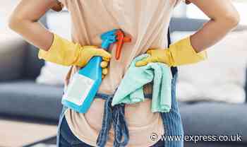 Cleaner claims ‘rudest’ client hid money to catch stealing - ‘epitome of bored housewife’