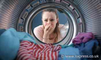 Dishwasher tablets make washing machines ‘smell terrible’ - use ‘better’ £1 item instead