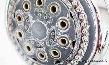 ‘Quicker’ method to ‘dissolve’ shower head limescale than using baking soda or vinegar