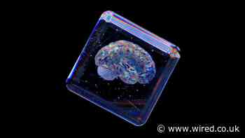 The AI Hype Train Has Stalled in China