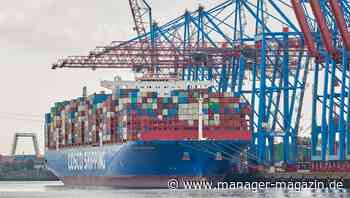 MSC-Gruppe will Hamburger Hafen übernehmen