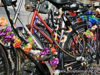 11. Online-Auktion startet am 26. Oktober 2023!