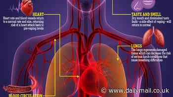 Expert reveals what happens to your body after you quit vaping - and shares tips on how to actually give up e-cigs