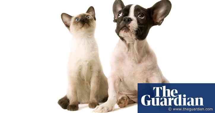 The case against pets: is it time to give up our cats and dogs?