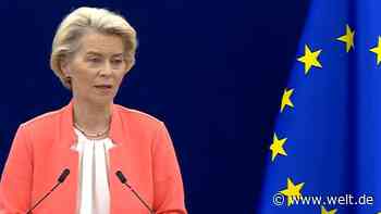 „Die Weltmärkte werden mit billigen chinesischen Autos überschwemmt“