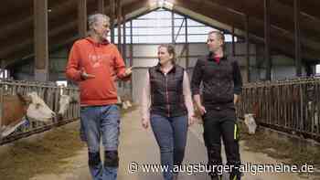 Rinder-Tinder: So finden moderne Rindviecher zueinander