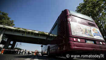 Cambiano i percorsi di cinque linee bus: tutte le informazioni