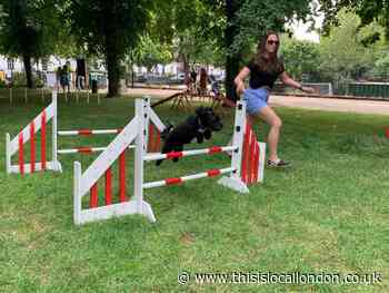 The Dog Olympix slammed for Islington event during heatwave