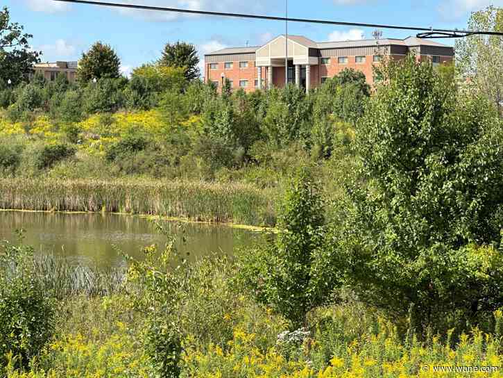 Olde Canal Hotel planned off West Jefferson Boulevard