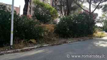 Spinaceto, le promesse del Campidoglio ai suoi inquilini: "Rimetteremo a nuovo le case"